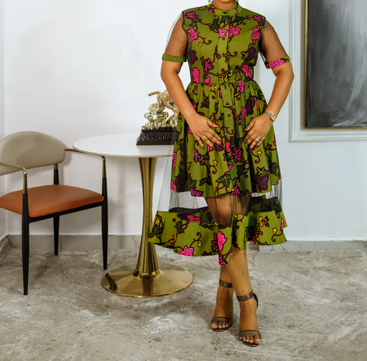 Elegant Mesh Printed Dress