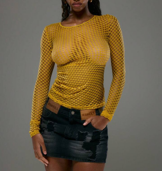 Long Sleeve Mesh Sexy Women's Top
