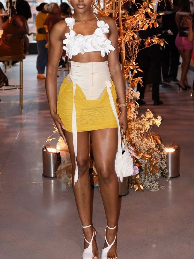 Floral Cropped Top+Pleated Skirt