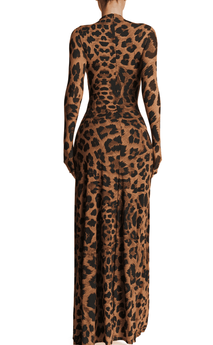 Leopard Print Long Sleeve Maxi Dress