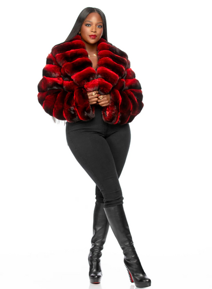 Broad-Collared Cropped Chinchilla