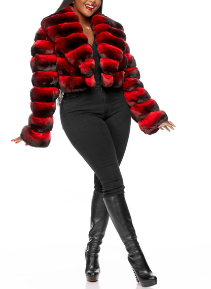 Broad-Collared Cropped Chinchilla