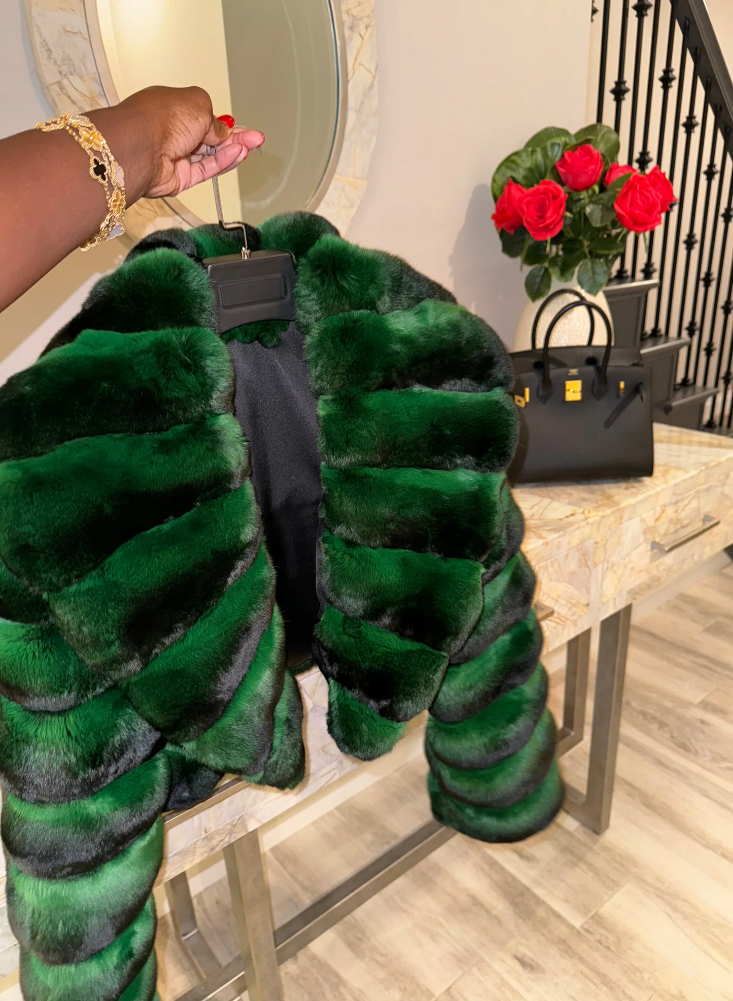 Broad-Collared Cropped Chinchilla