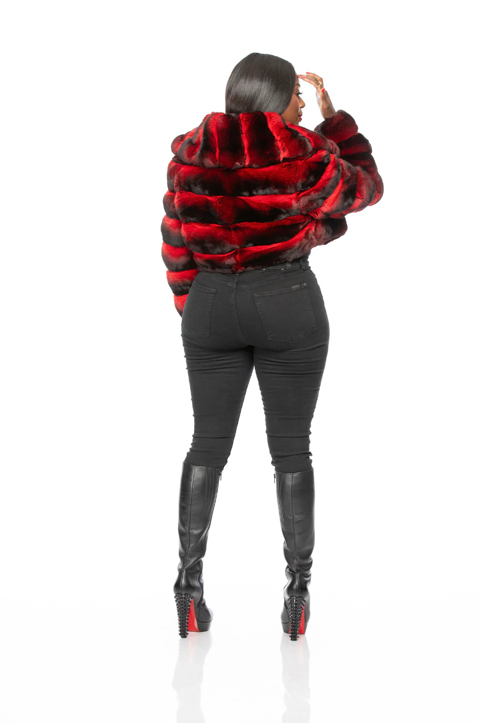 Broad-Collared Cropped Chinchilla