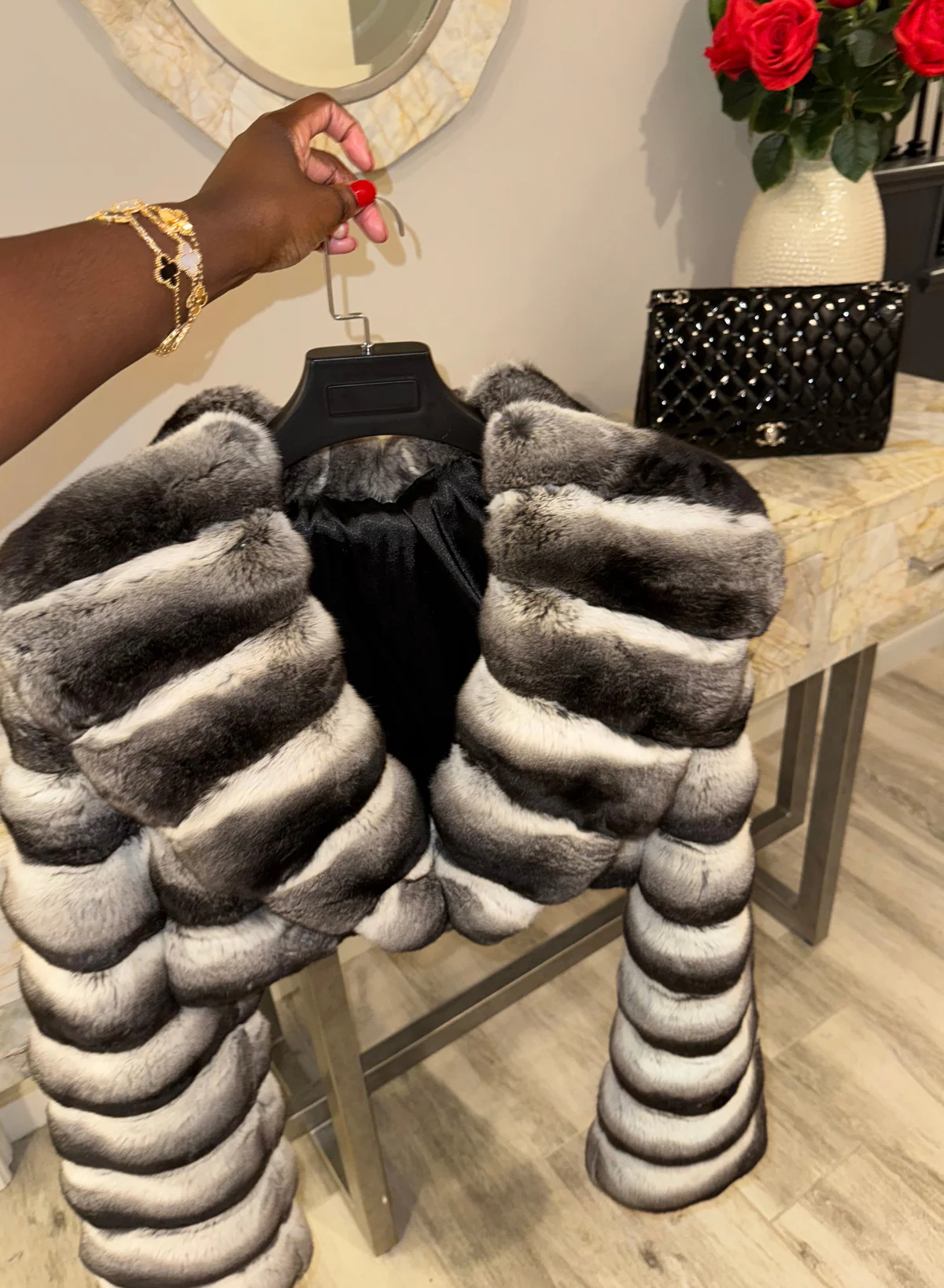 Broad-Collared Cropped Chinchilla