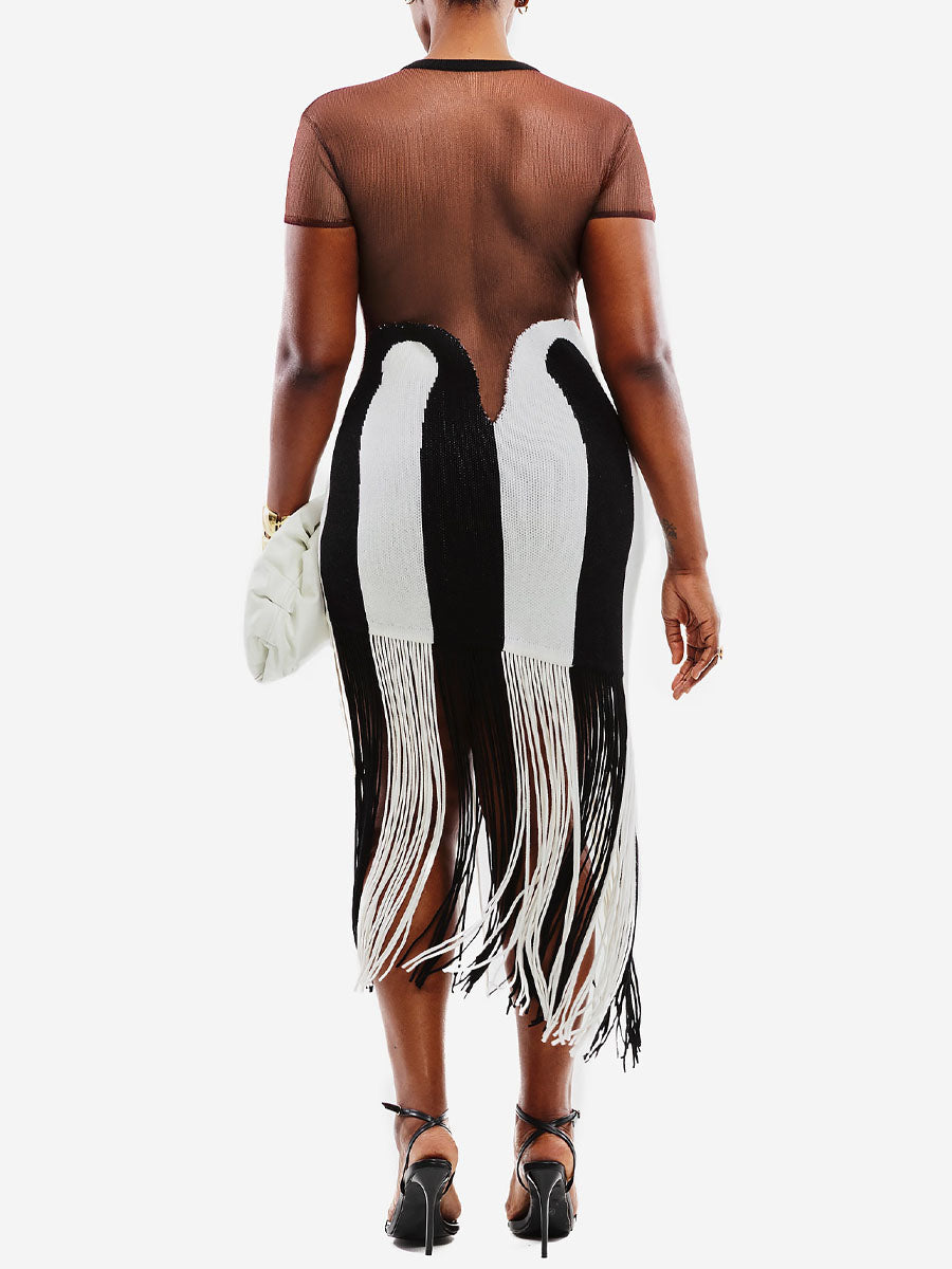 Striped Print Tassel Hem See-through Dress