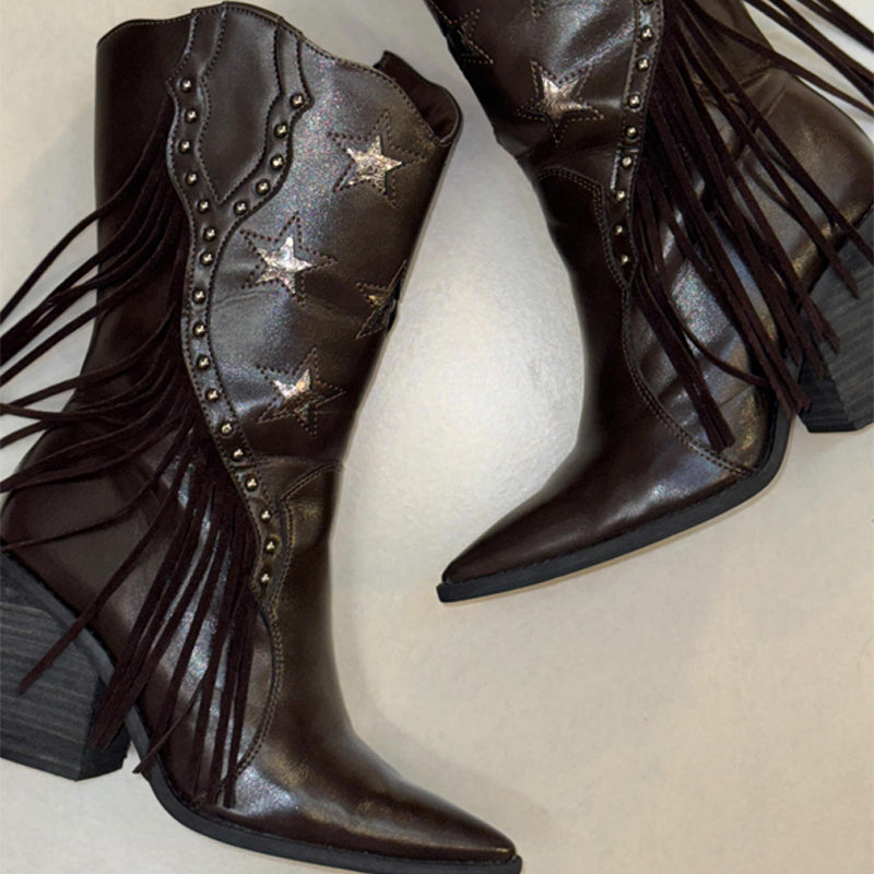 Fringed Pointed Toe Chunky Heel Ankle Boots