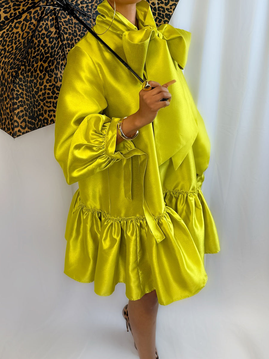 Puff Sleeve Drop Waist Mini Dress