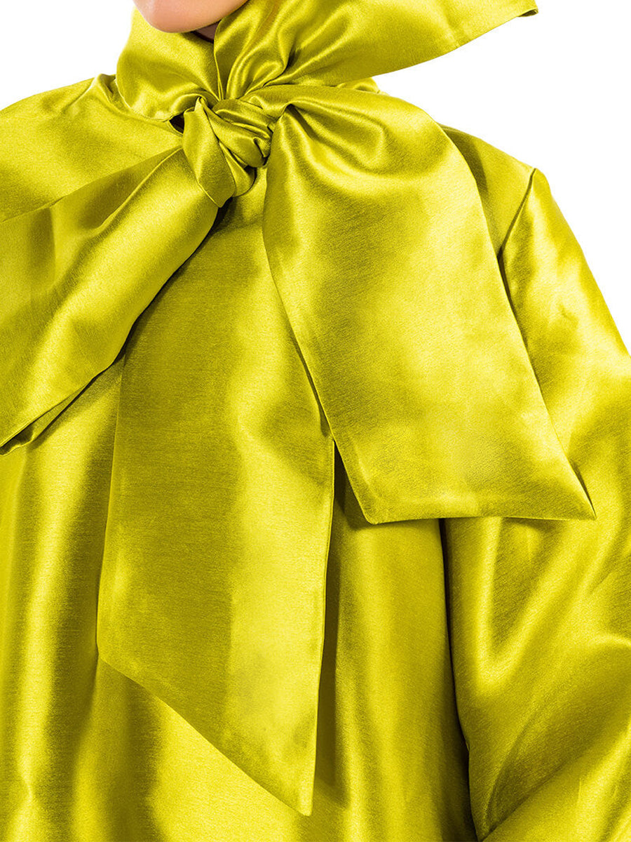 Puff Sleeve Drop Waist Mini Dress