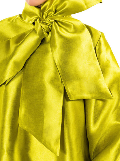 Puff Sleeve Drop Waist Mini Dress