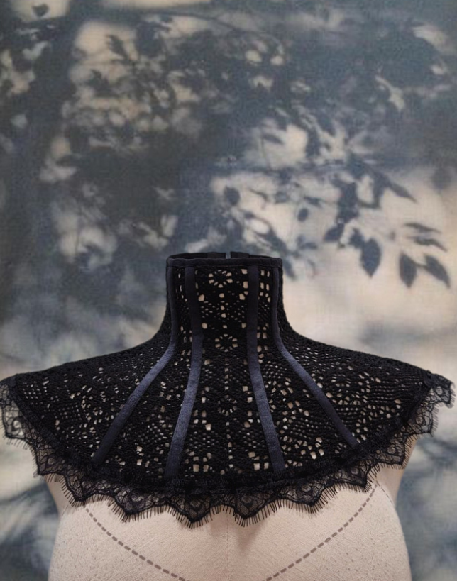 Fab Lace Collar